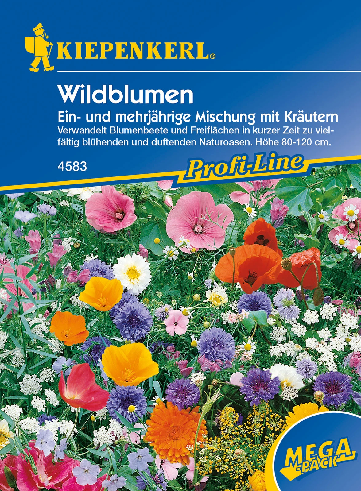 Wildblumen Ein - Und Mehrjährige Mischung Mit Kräutern | Wildblumensamen Von Kiepenkerl – Bild 2