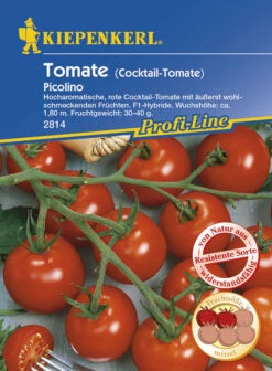 Cocktailtomate Picolino | Kirschtomatensamen Von Kiepenkerl