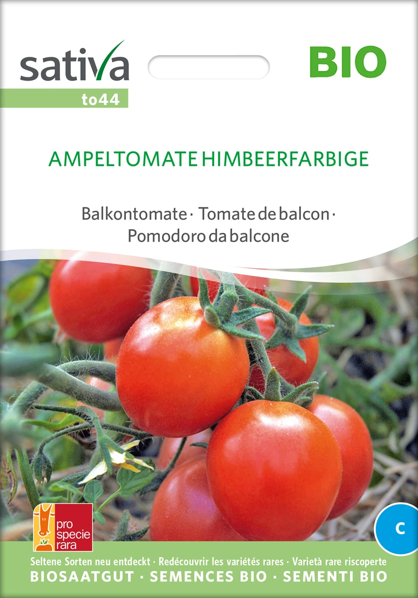 Balkontomate Ampeltomate Himbeerfarbige | BIO Buschtomatensamen Von Sativa Rheinau – Bild 2