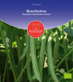 Buschbohne Doppelte Holländische Prinzess | BIO Buschbohnensamen Von De Bolster
