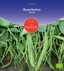 Buschbohne Nassau | BIO Buschbohnensamen Von De Bolster