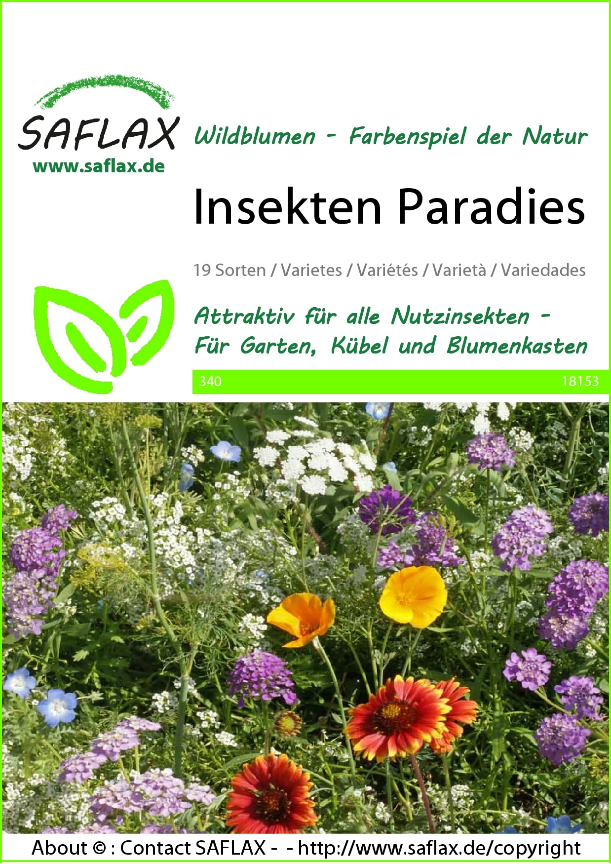 Blumenwiese Insekten Paradies | Insektenwiese Von Saflax