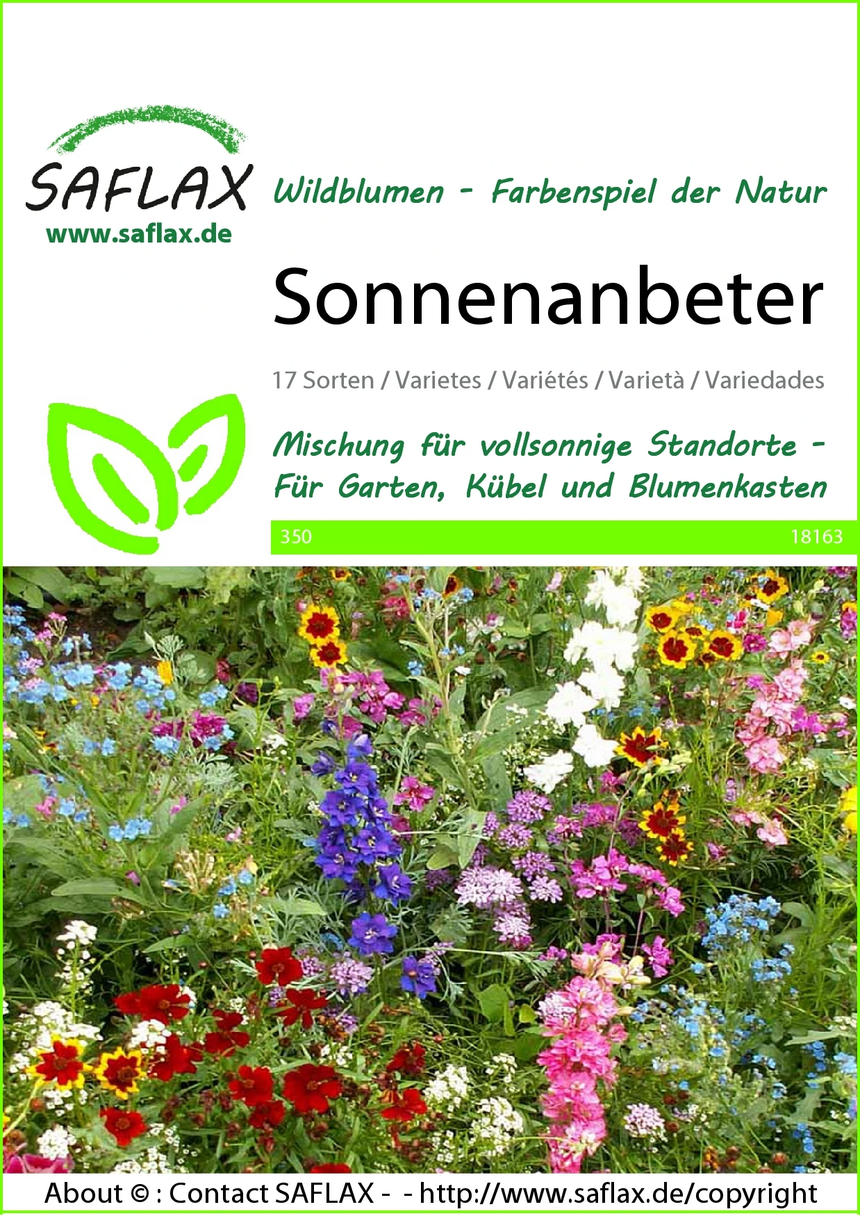 Blumenwiese Sonnenanbeter | Wildblumenwiese Von Saflax – Bild 2
