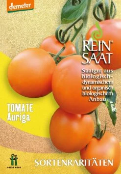 Salattomate Auriga | BIO Kirschtomatensamen Von Reinsaat