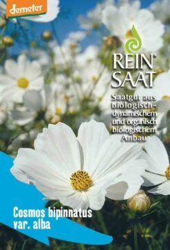 Cosmea Weiß | BIO Cosmeasamen Von Reinsaat