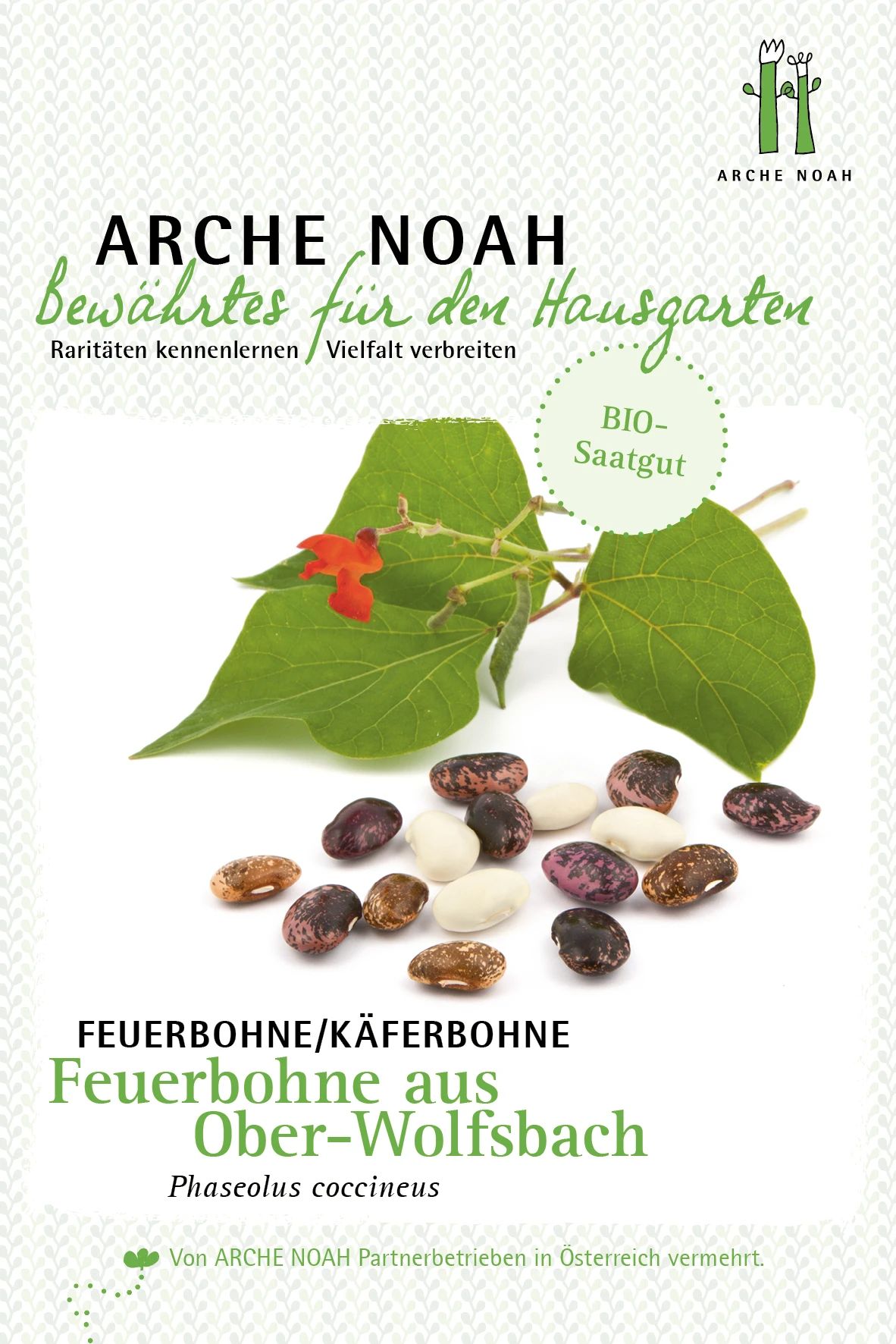 Feuerbohne Aus Ober-Wolfsbach | BIO Bohnensamen Von Arche Noah