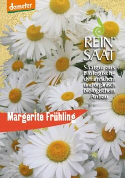 Margerite Frühling | BIO Margeritensamen Von Reinsaat