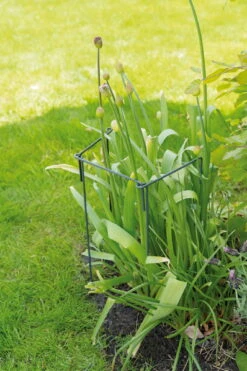 Pflanzenstütze (17 X 45 Cm) | Blumenpflege Von Sogo