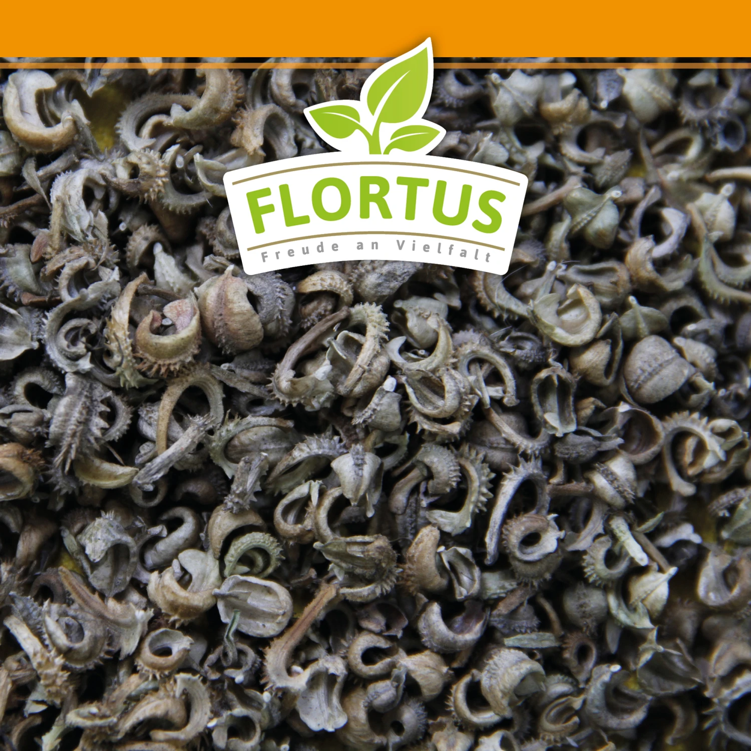 Ringelblumen Mischung | Blumenwiese Von FLORTUS – Bild 3