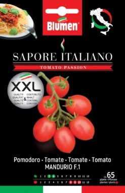 Tomate Sapore Italiano Mandurio F1 | Tomatensamen Von BLUMEN Group